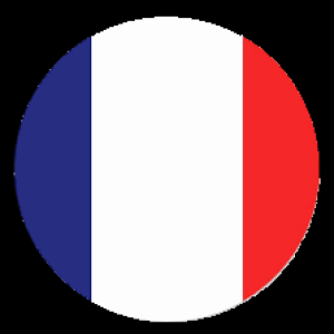 franc flag 1