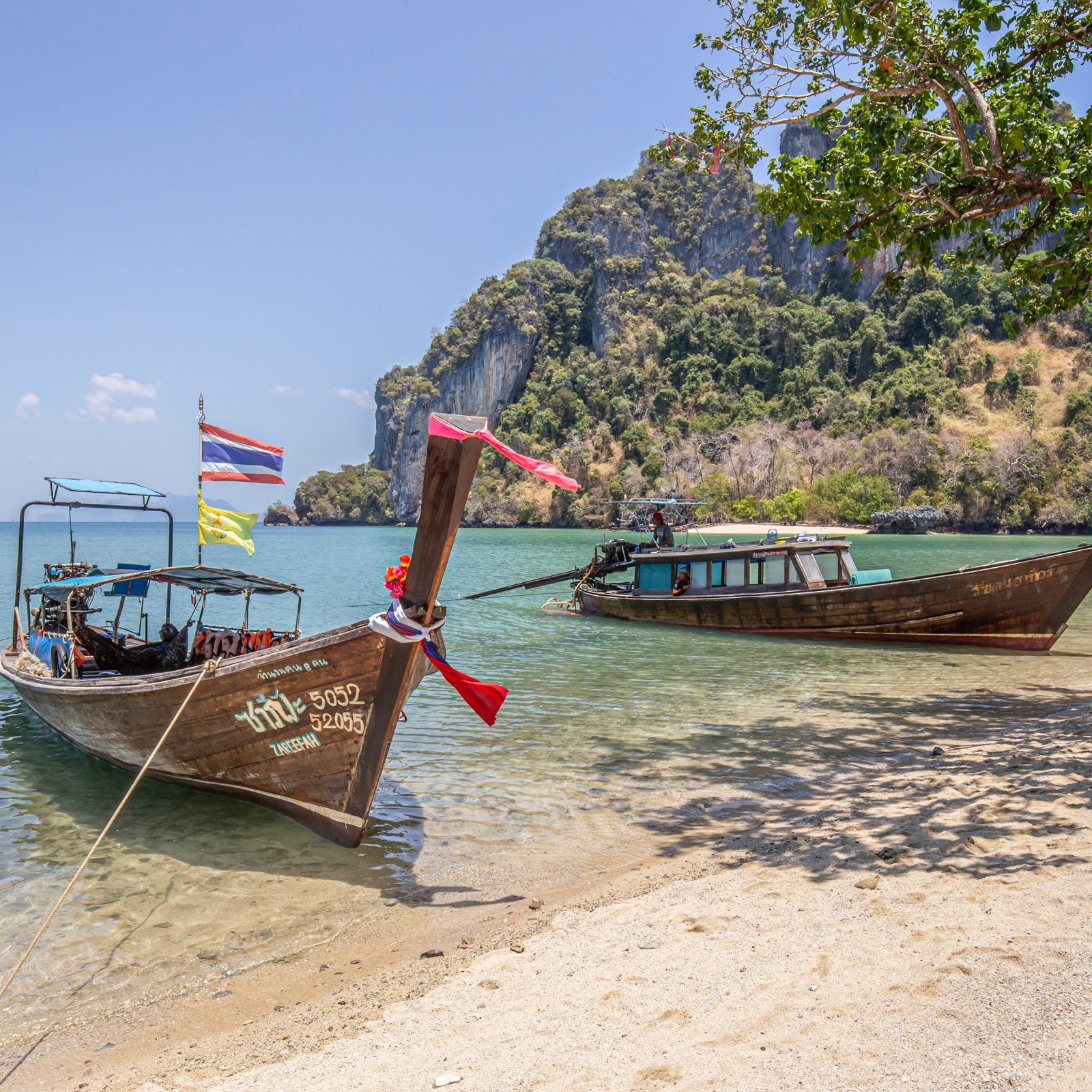 pexels erik karits 7976599 scaled