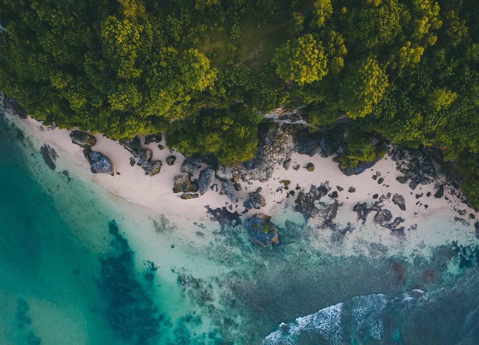 pexels oliver sjostrom 931018 scaled e1667213033366