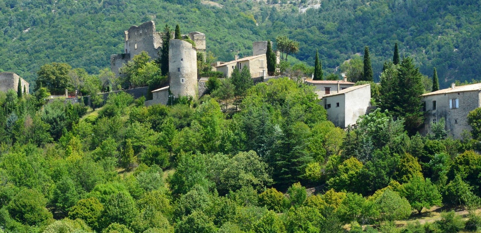 pexels slimmars 12990948 scaled e1667242308486