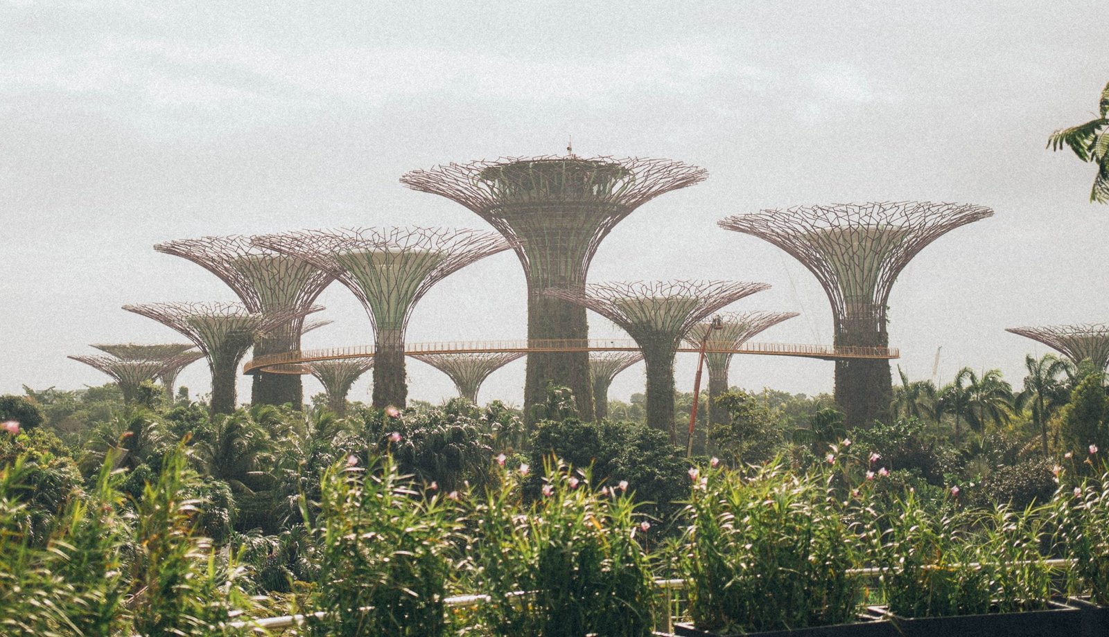 pexels elina sazonova 1907047 scaled e1667240854490