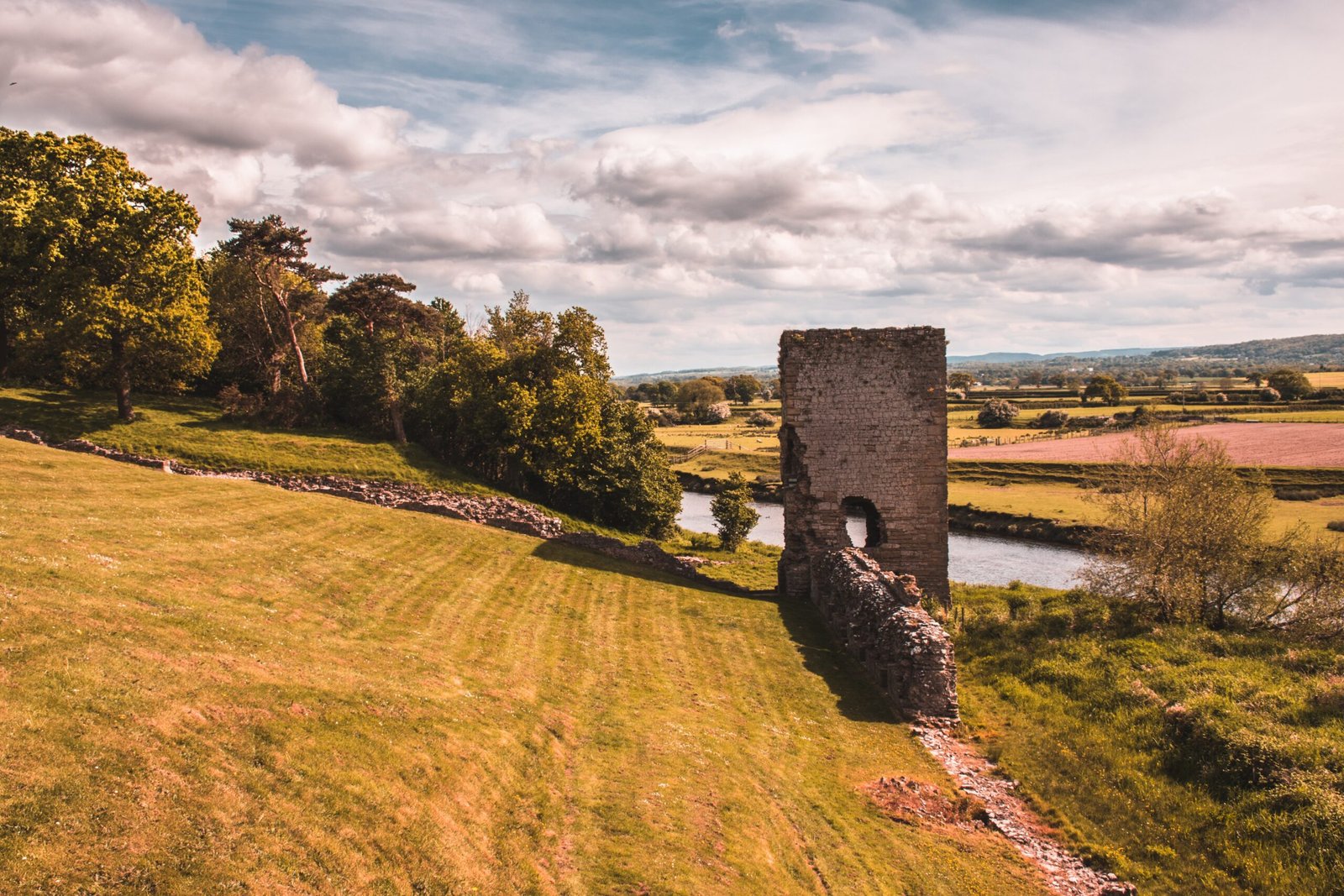 pexels lisa fotios 776586 scaled