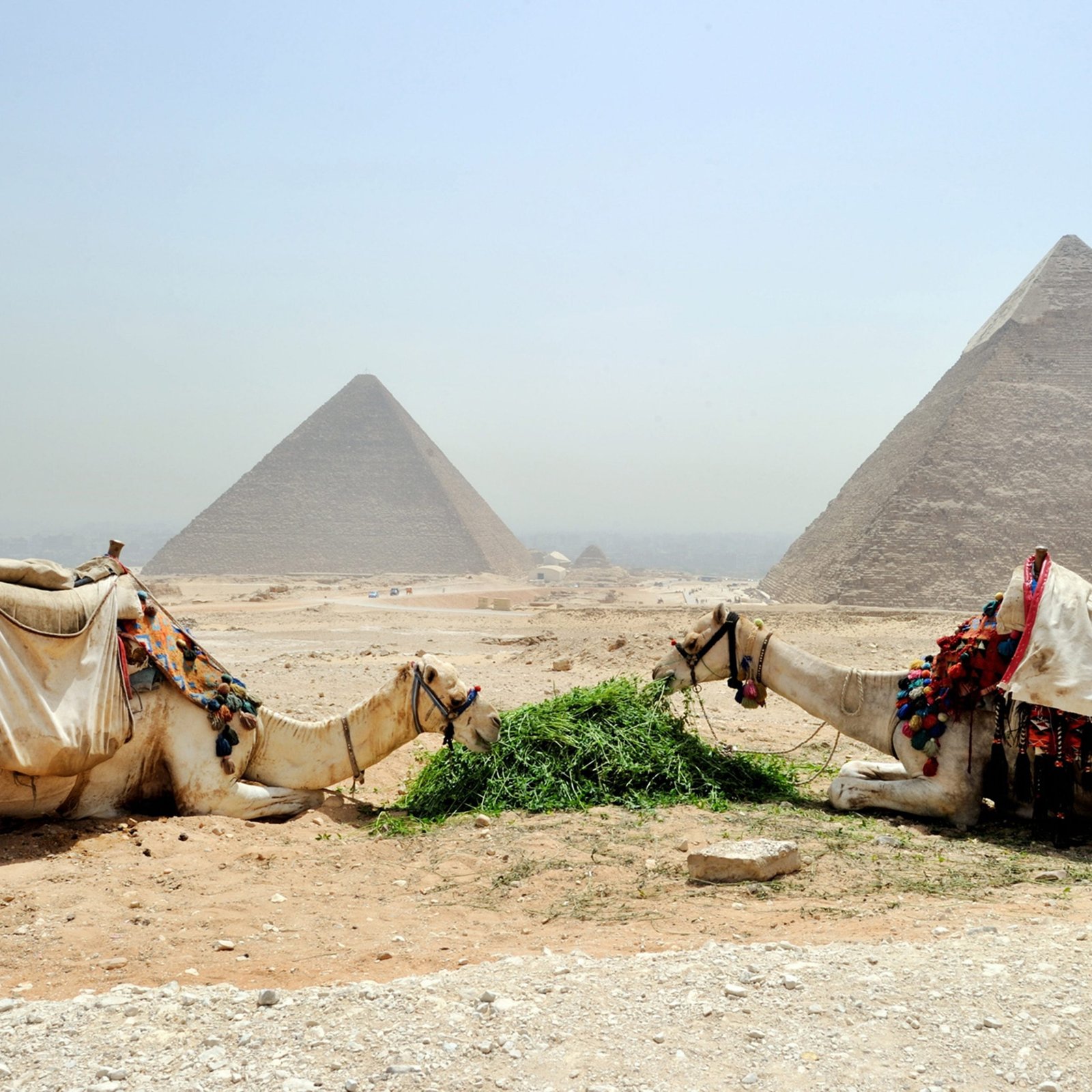 pexels roxanne shewchuk 2183784 1 scaled