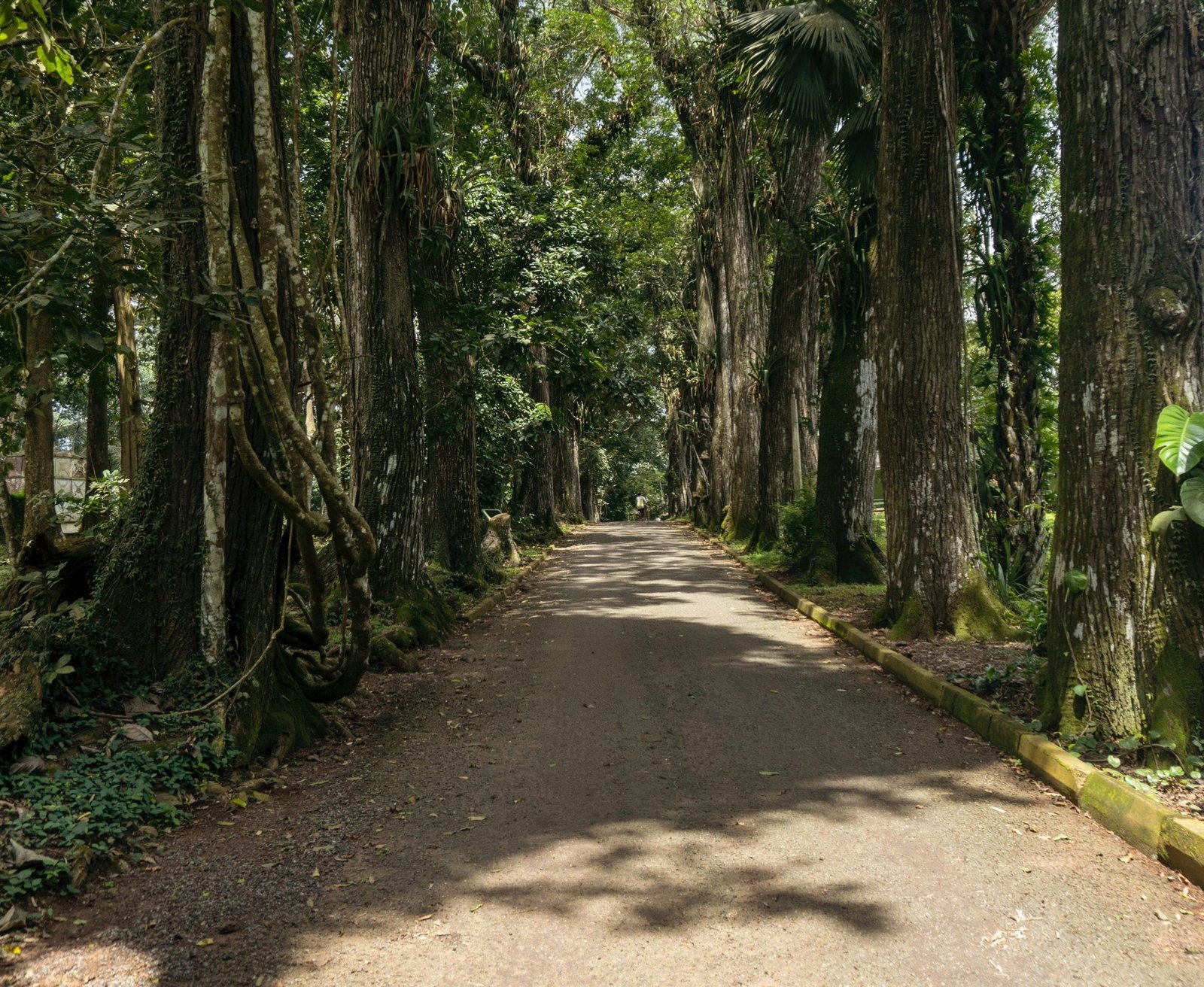 pexels seyiram kweku 5648623 scaled e1666973892946