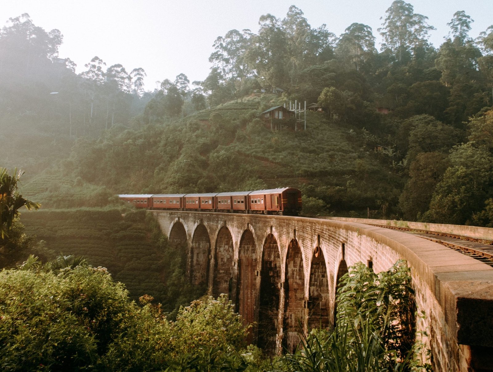 pexels genine alyssa pedrenoandrada 2403209 scaled e1667655386947