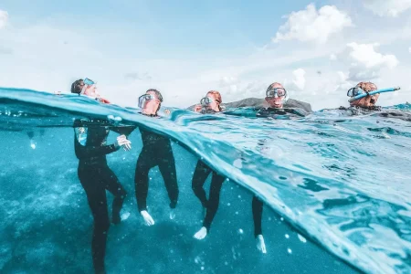 a group of people in wetsuits swimming underwater