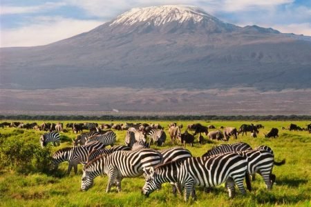 13 Day Rwanda, Uganda and Kenya Tour : Mountain gorillas & the Big 5