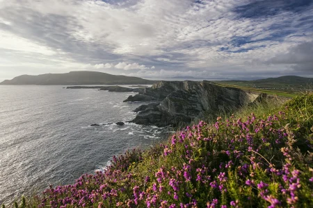 Complete Ireland Experience from Dublin – Ireland