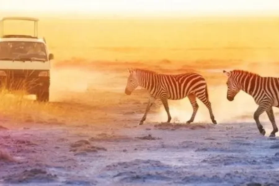 Luxury African Wellbeing Adventures | Kenya