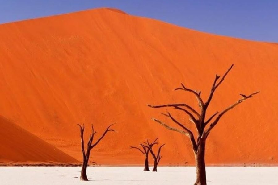 Essence of Namibia: Dunes & Skeleton Trees