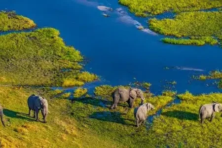 Waterfalls, Wild Chobe & Okavango Safari | Zimbabwe & Botswana