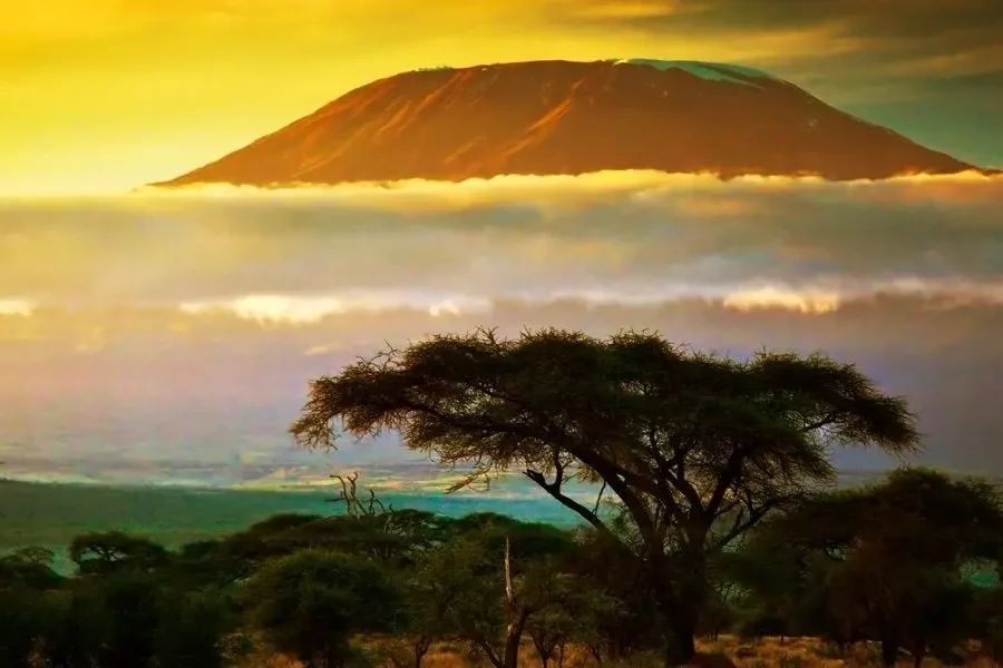 29 Day Africa tour: Kenya, South Africa, Zimbabwe, and Egypt