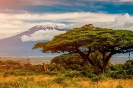 Best Safari Parks: Maasai Mara & Serengeti | Kenya & Tanzania