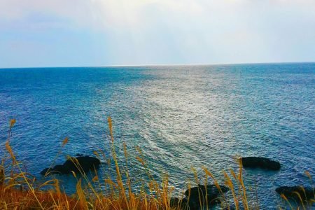 Jeju South Healing UNESCO Small Group Tour with Hotel Pickup