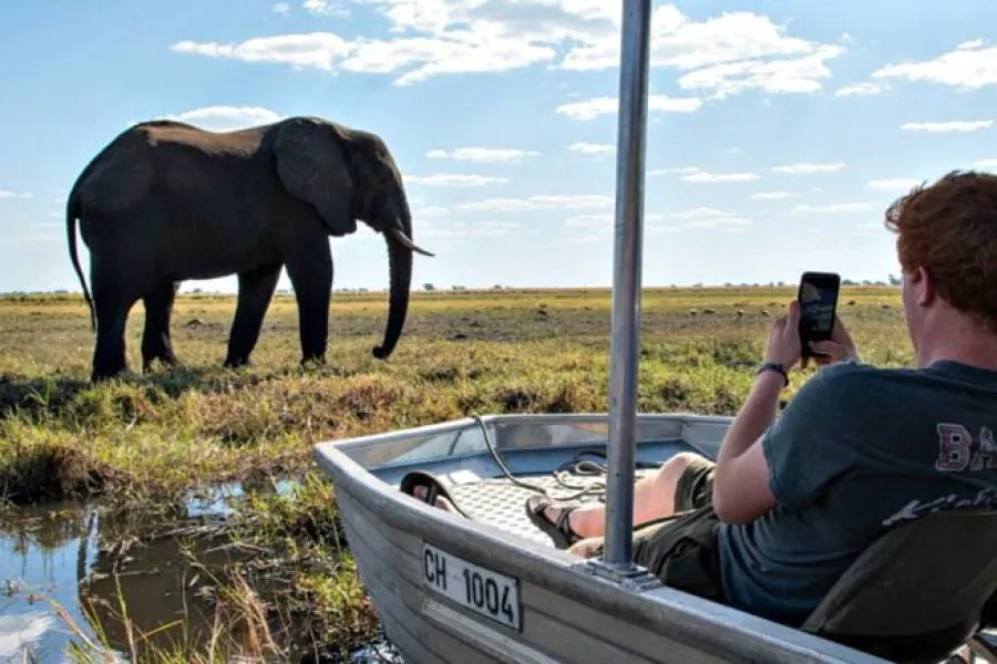 Chobe National Park Camping Safari | Botswana