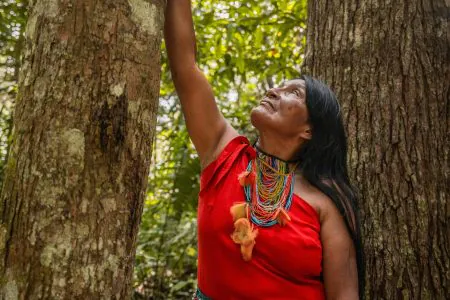 Top 5: Destinations for Ayahuasca Retreats Outside of South America | 2025