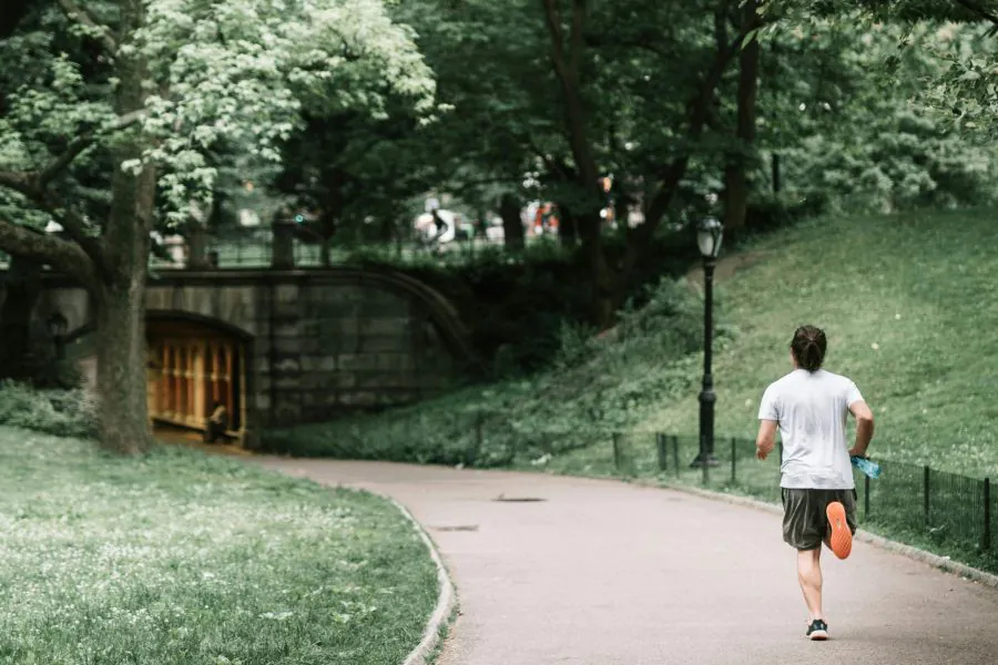 Central Park Yoga and Walking Tour | NYC, USA