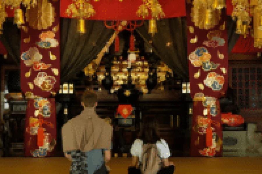 Hakone Round Trip with Pirate Ship and Ropeway – Japan